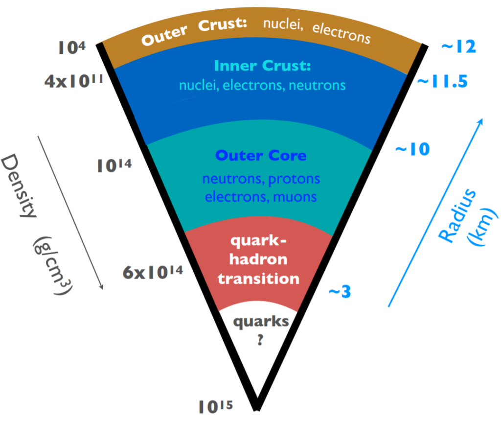 Can gravitational waves reveal phase transitions in the cores of