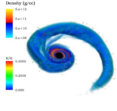 A tail of material being stripped and ejected from a neutron star (shown in blue) when merging with a black hole (shown in black). 