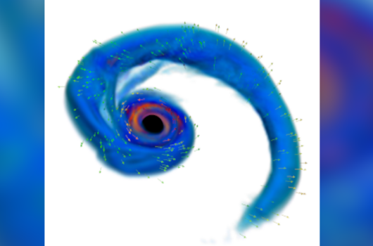A tail of material being stripped and ejected from a neutron star (shown in blue) when merging with a black hole (shown in black)