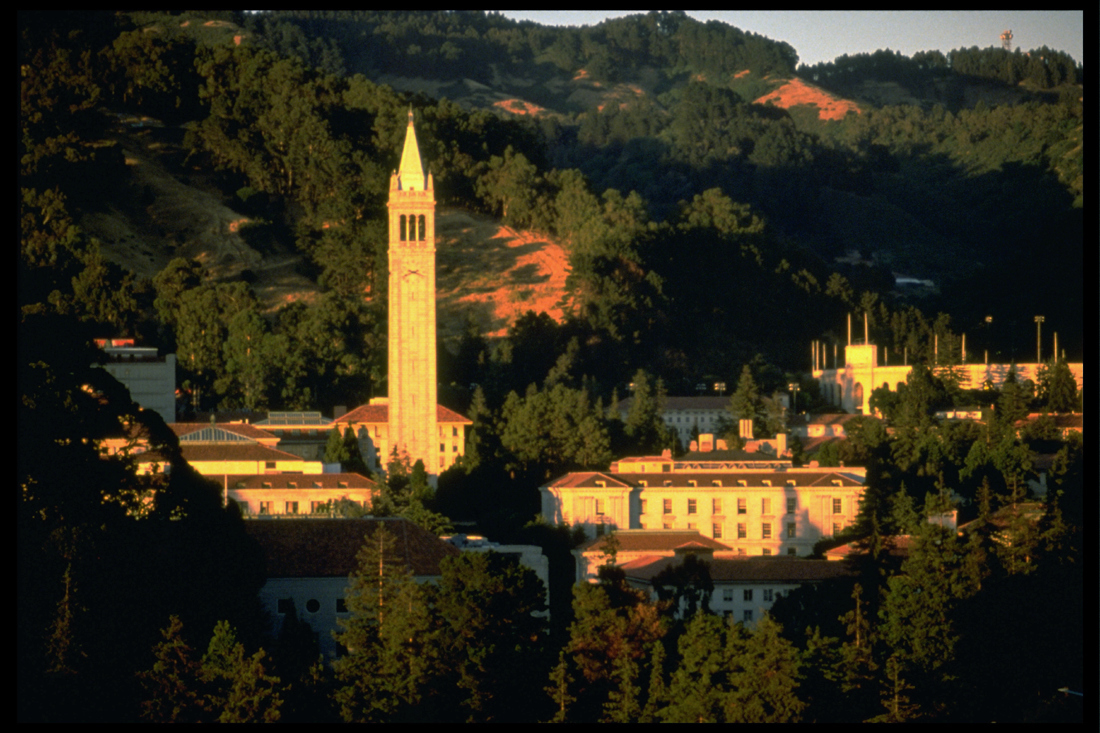 Campanile tower at sunset