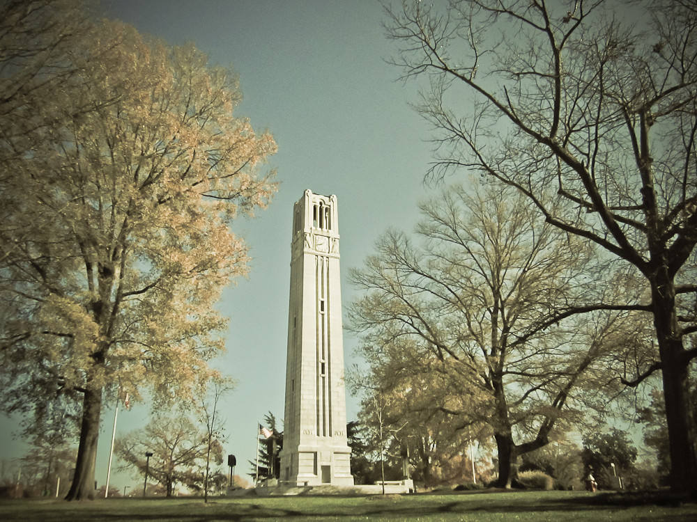 Bell tower surrounded by trees